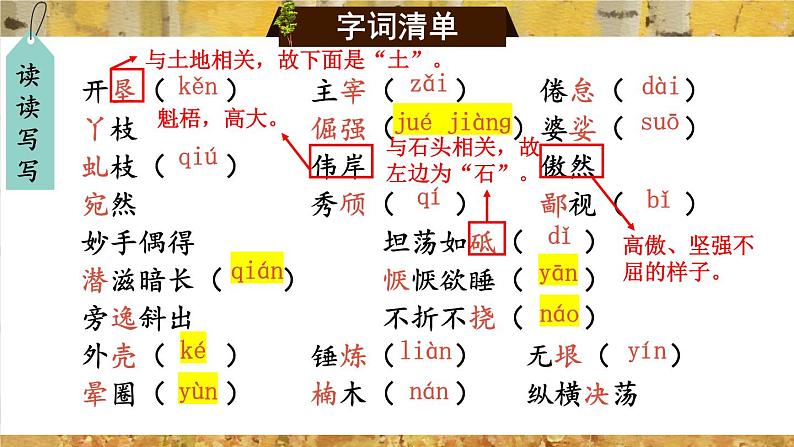 15 白杨礼赞【考点精讲版】第7页