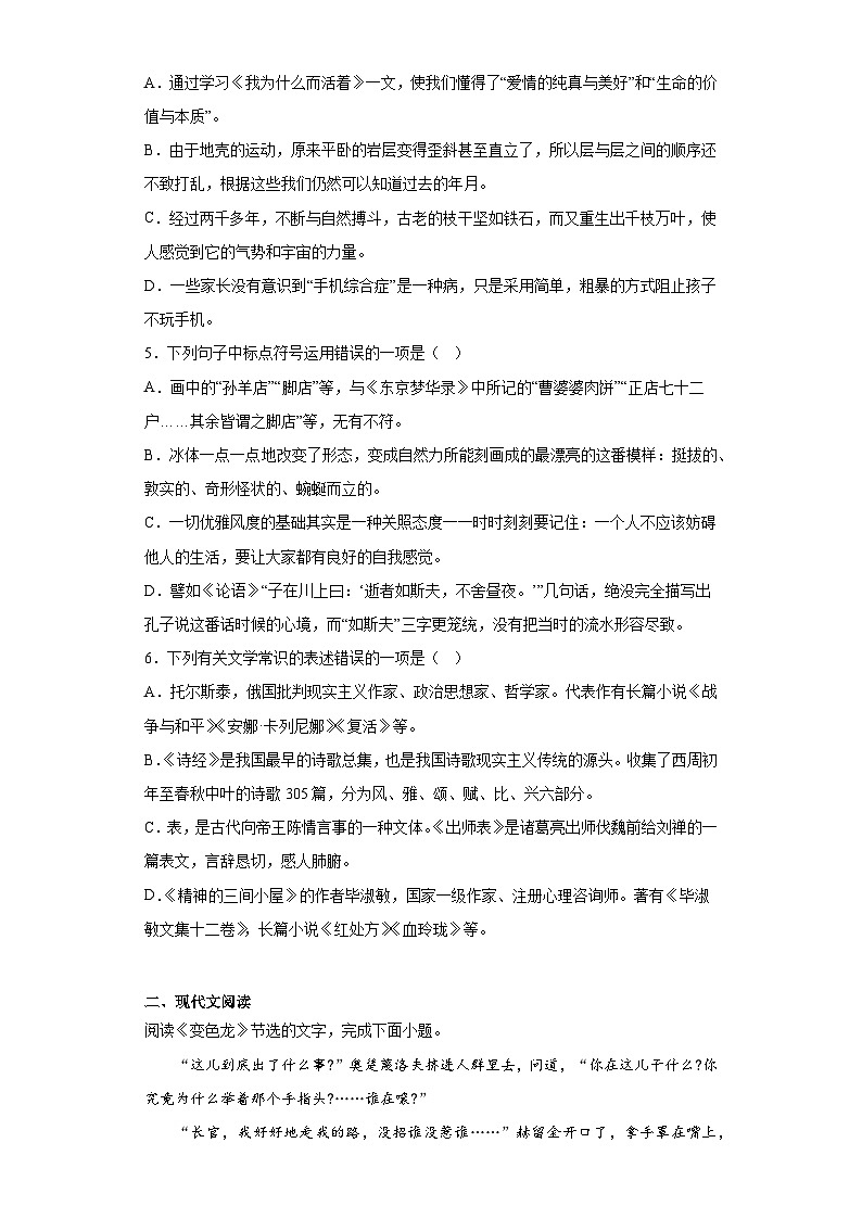 2023年山东省肥城中考模拟语文试题（含答案）第2页