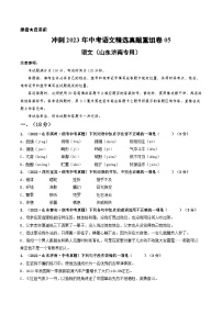 真题重组卷05——2023年中考语文真题汇编重组卷（山东济南专用）