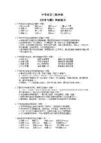 中考语文三轮冲刺《汉字专题》突破练习（含详解）