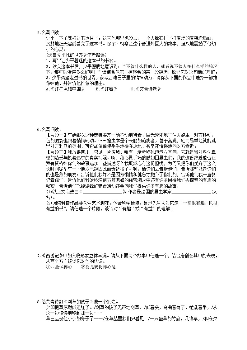 中考语文三轮冲刺《名著阅读专题》突破练习（含详解）第3页