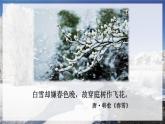 人教语文9年级上册 第1单元 1 沁园春·雪 PPT课件+教案