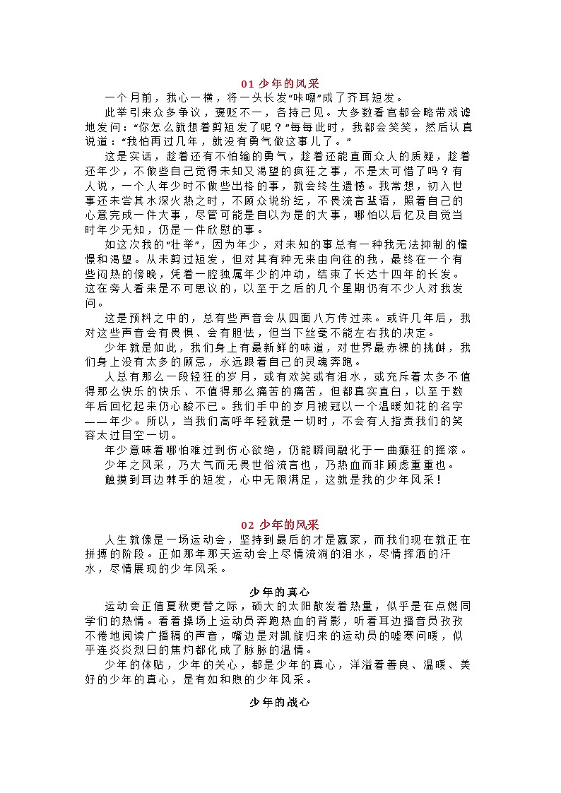 2023中考语文作文押题预测：《______的风采》（范文6篇）第1页