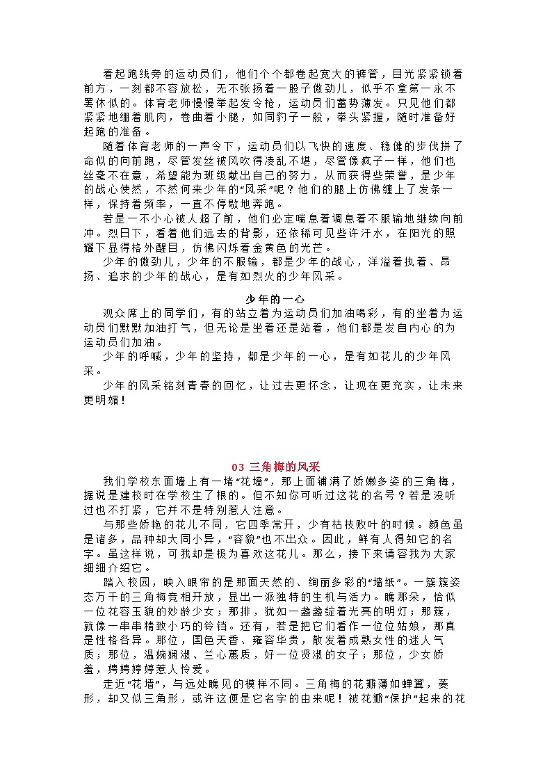 2023中考语文作文押题预测：《______的风采》（范文6篇）第2页