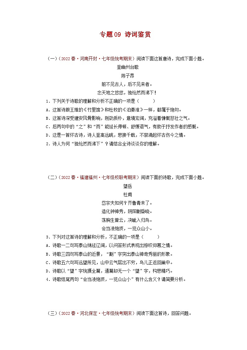 专题09：诗词鉴赏（专题过关）-2022-2023学年七年级语文下学期期末末考点大串讲（部编版）01