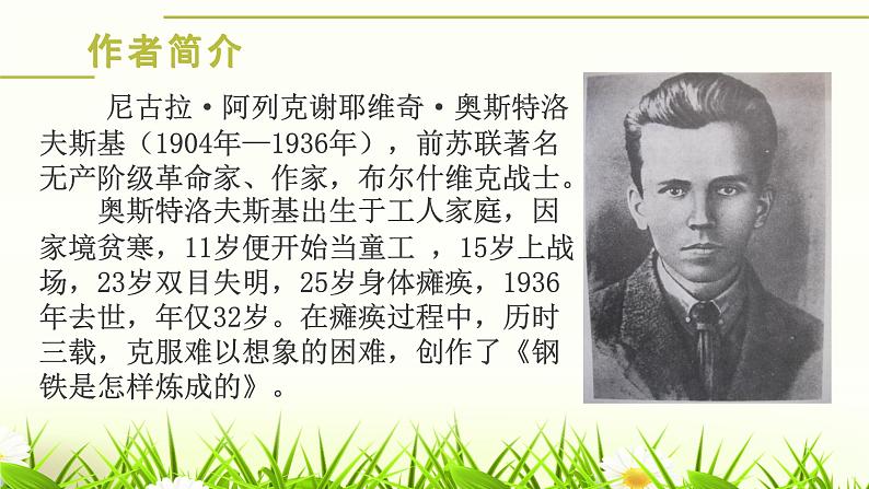 名著导读：《钢铁是怎样炼成的》课件PPT第5页