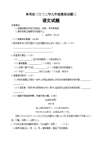 2023年山东省菏泽市东明县中考三模语文试题（含答案）