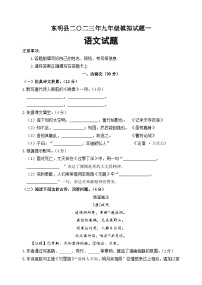 2023年山东省菏泽市东明县中考一模语文试题（含答案）