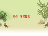 人教版語文8年級上冊 第2單元 寫作 學寫傳記 PPT課件