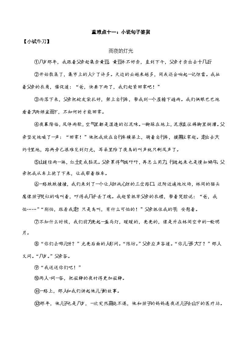 重难点11：小说句子赏析-备战中考语文重难点专练（全国通用）01