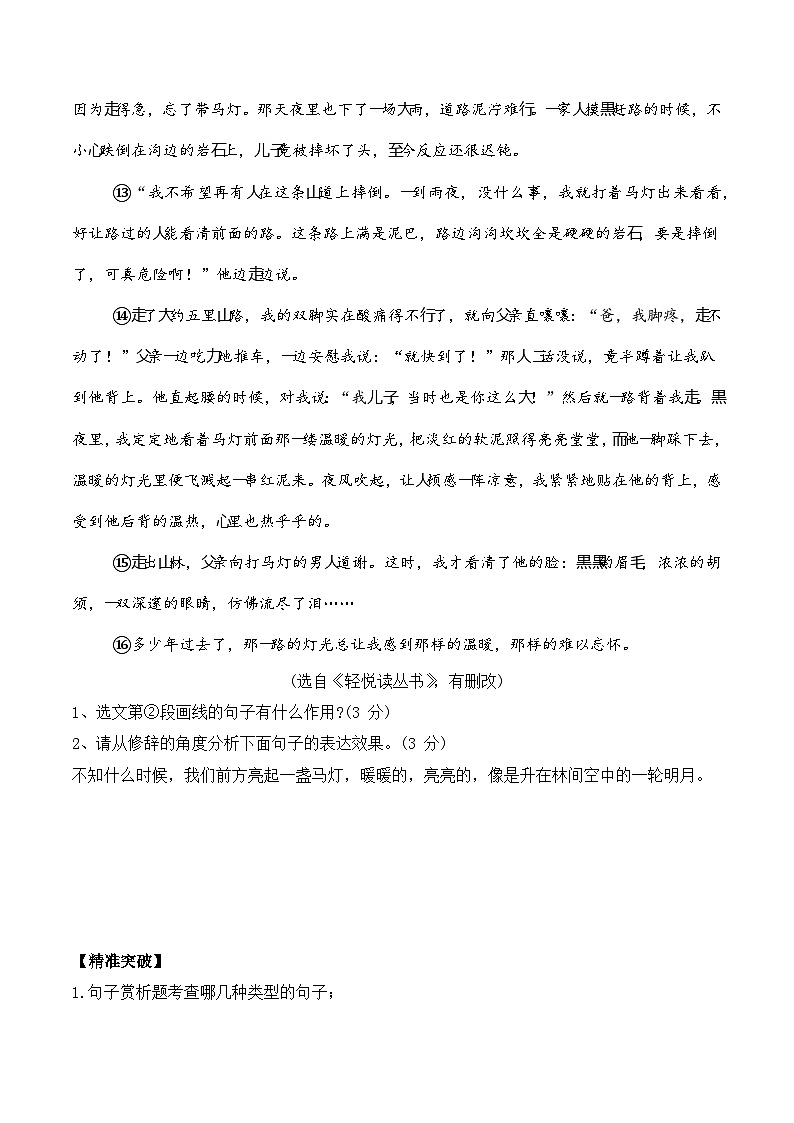 重难点11：小说句子赏析-备战中考语文重难点专练（全国通用）02