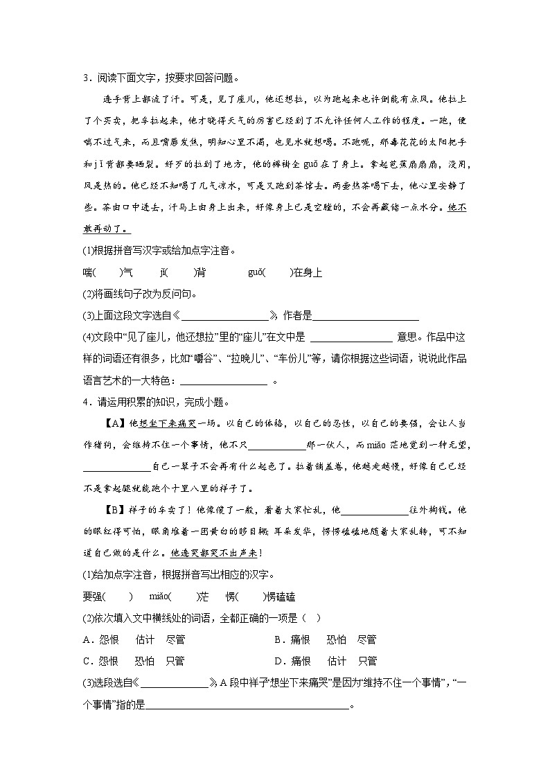 部编版语文七年级下册期末专项复习-基础知识综合第2页