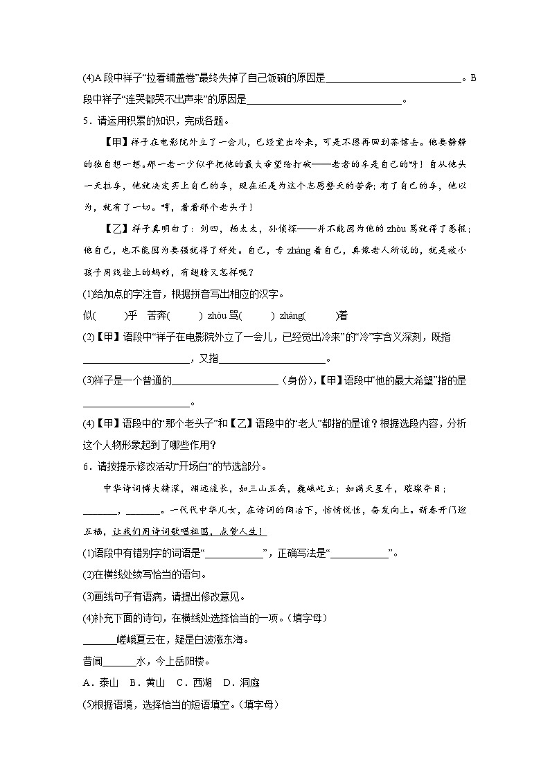 部编版语文七年级下册期末专项复习-基础知识综合第3页