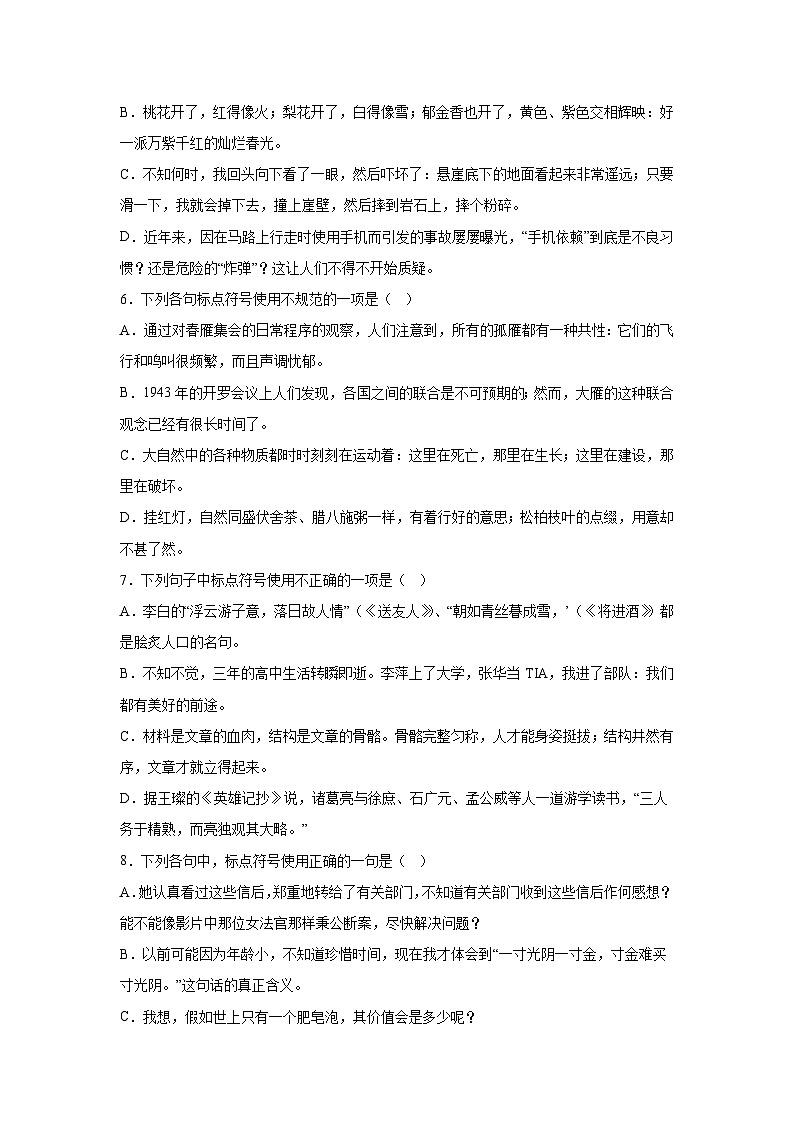 部编版语文八年级下册期末专项复习-标点符号第2页