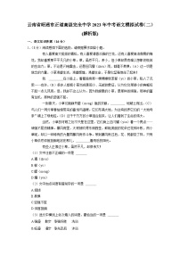 云南省昭通市正道高级完全中学2023年中考语文模拟试卷（二）（含答案）