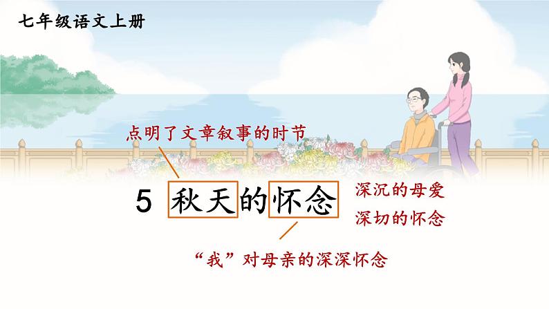 人教版语文七年级上册 第2单元 5 秋天的怀念 PPT课件+教案01