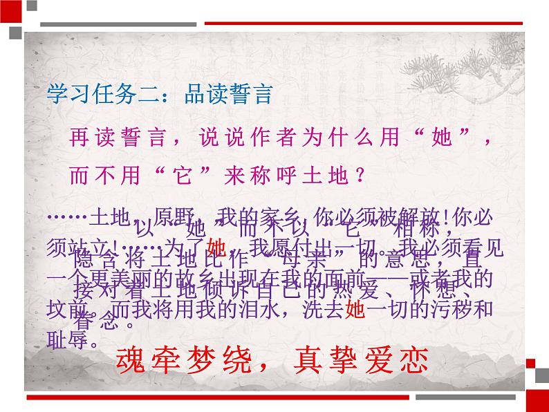 土地的誓言 课件06