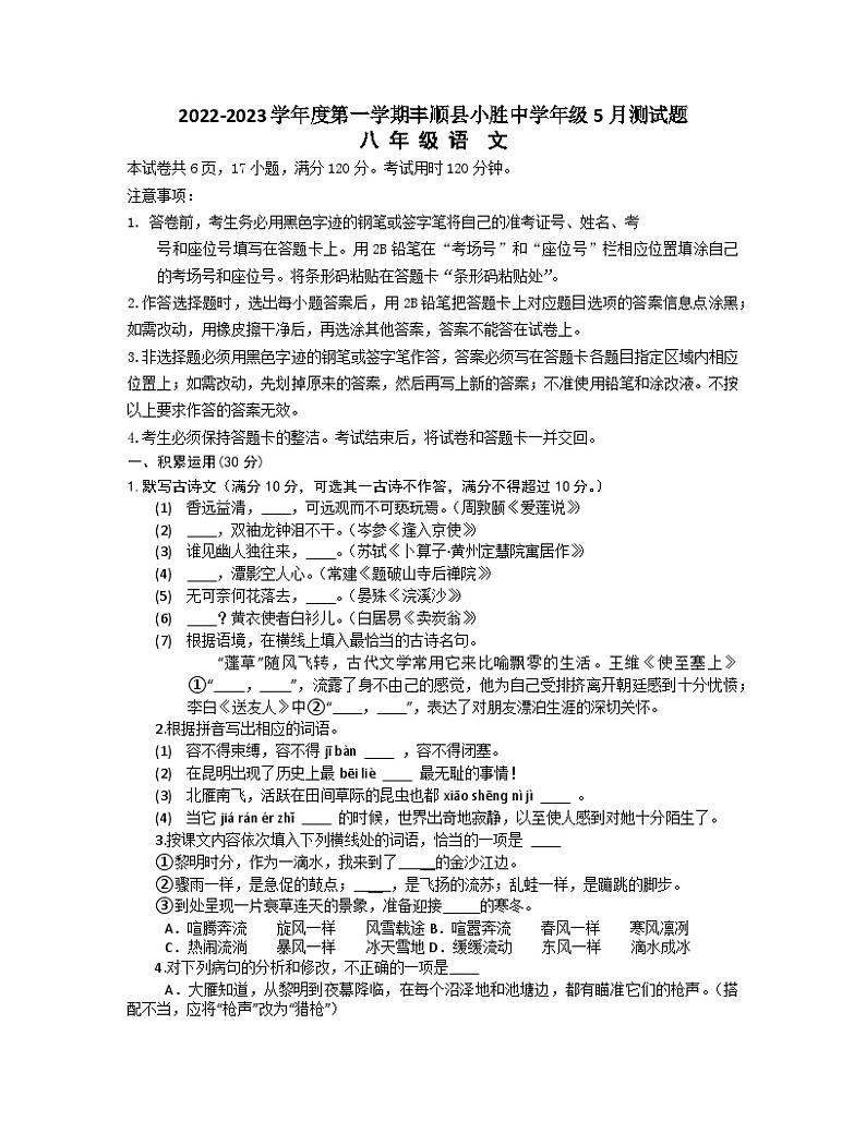 广东省梅州市丰顺县小胜中学2022-2023学年八年级下学期5月月考语文试题01