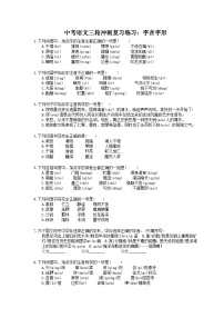 2023年中考语文三轮冲刺复习练习：字音字形 (含详解)