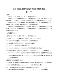 2023年广东省汕头市潮阳区潮阳区中考模拟语文试题(含答案)