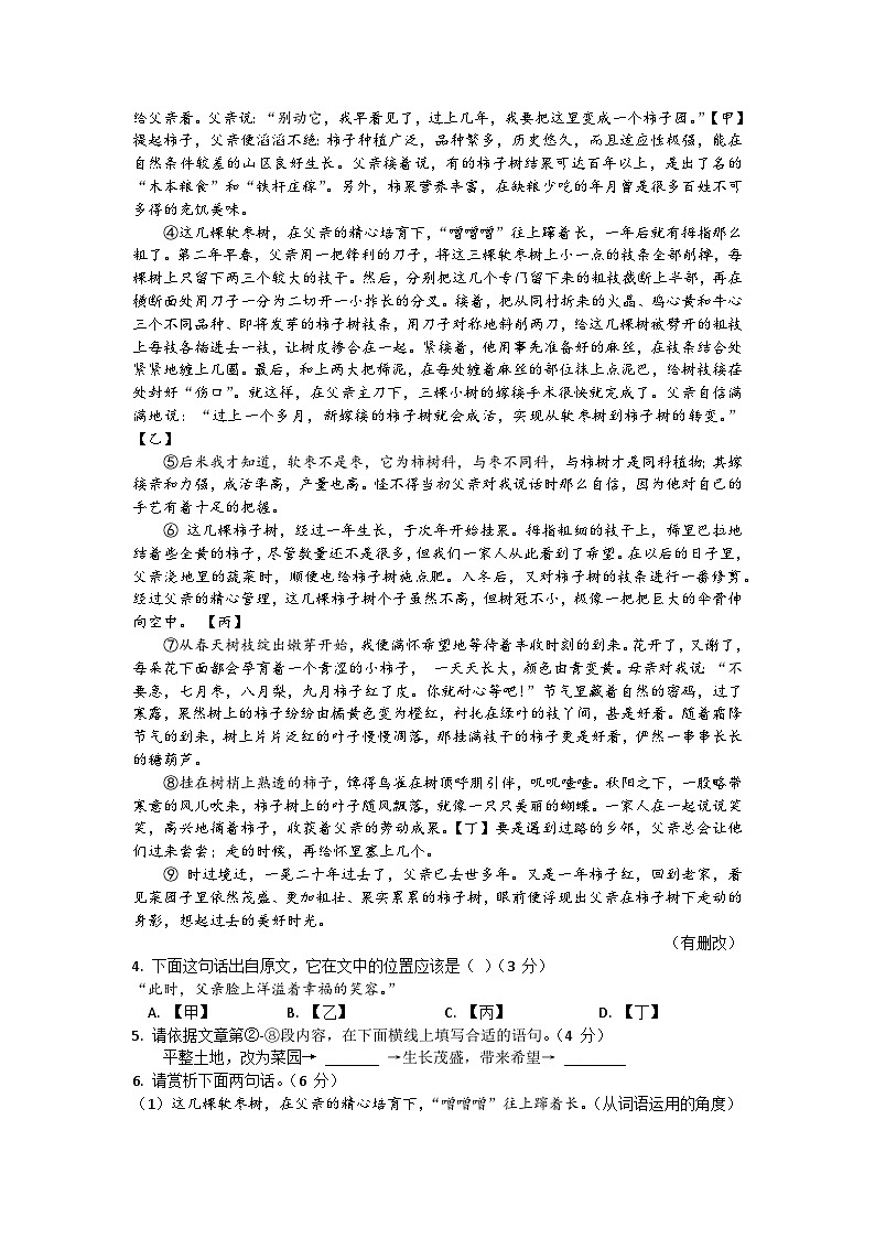 2023年安徽省马鞍山市星光学校中考二模语文试题（含答案）03