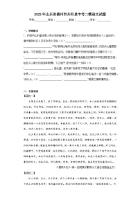 2023年山东省德州市齐河县中考二模语文试题（含答案）