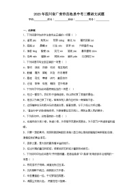 2023年四川省广安市岳池县中考三模语文试题（含答案）