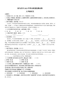 2023年河南省驻马店市中考二模语文试题（含答案）