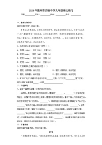 2023年浙江省温州市实验中学中考复习语文练习题