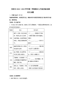 2022-2023学年龙岩市第一学期期末九年级质量监测语文试题及答案