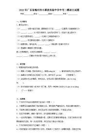 2022年广东省梅州市丰顺县实验中学中考二模语文试题（含解析）