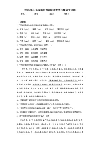 2023年山东省滨州市滨城区中考二模语文试题（含解析）