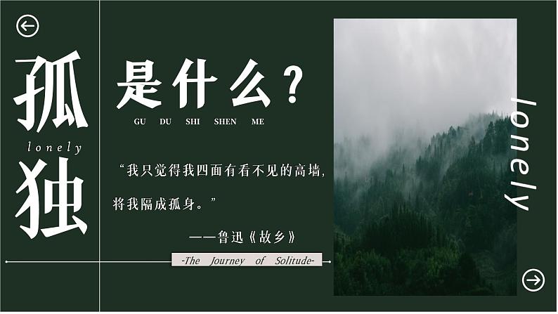 17 孤独之旅第2页