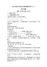 2023年山东省菏泽市成武县中考二模语文试题（解析版）