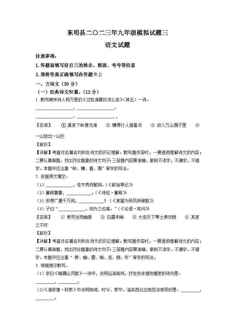 2023年山东省菏泽市东明县中考三模语文试题（解析版）01