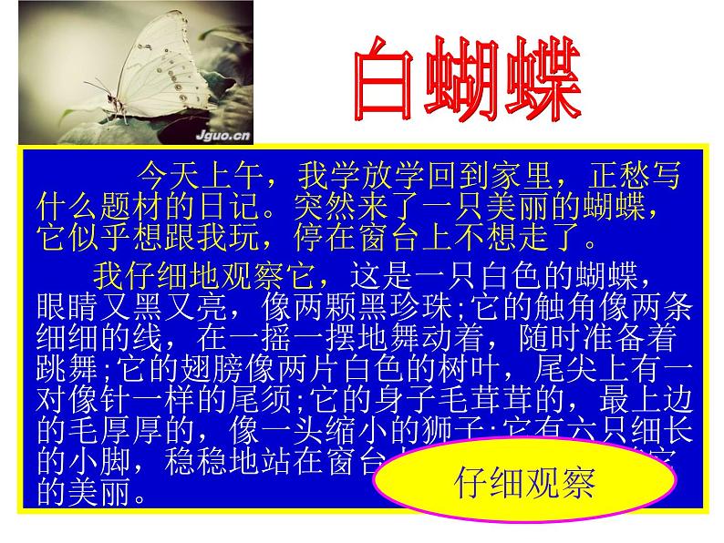 初中记叙文写作训练基础篇（1）（观察能力）课件PPT第5页