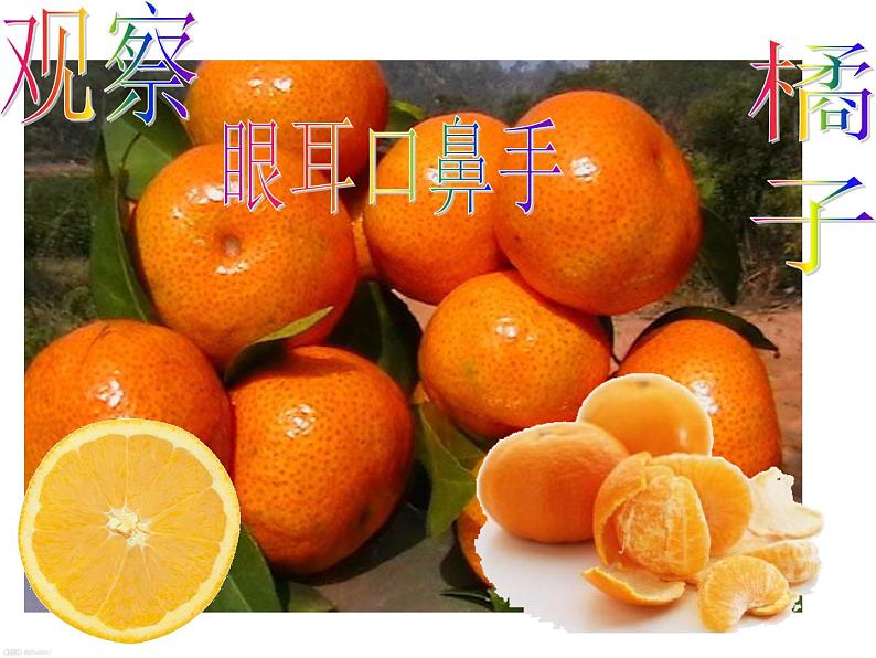 初中记叙文写作训练基础篇（1）（观察能力）课件PPT第7页