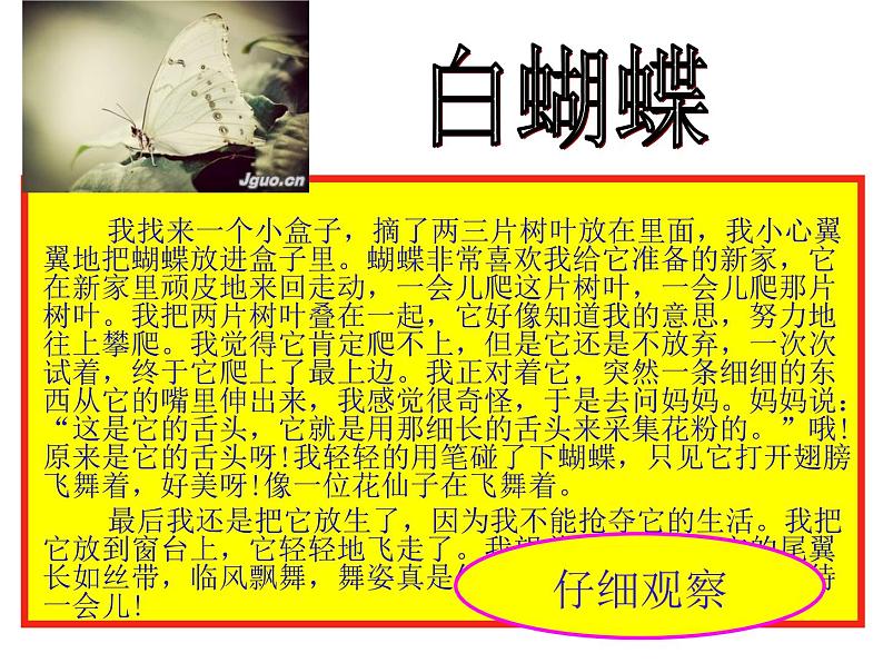 初中记叙文写作训练基础篇（3）（积累词语）课件PPT06