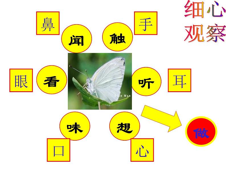 初中记叙文写作训练基础篇（5）（具体描写）课件PPT04