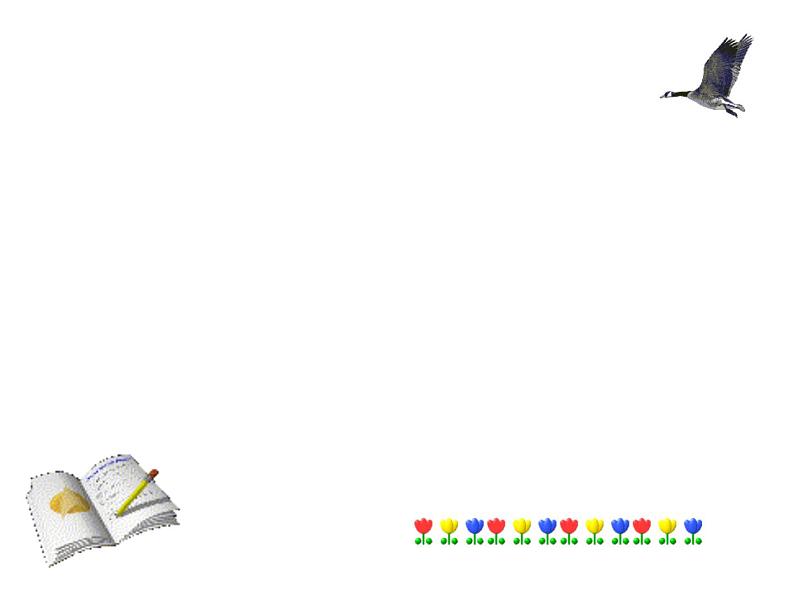 初中记叙文写作训练写人篇（1）（外貌描写）课件PPT第1页