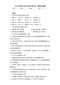 2023年黑龙江省齐齐哈尔市中考一模语文试题(含答案)