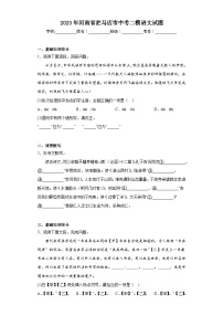 2023年河南省驻马店市中考二模语文试题（含解析）