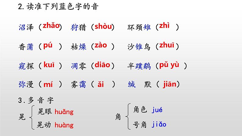《大雁归来》-2022-2023学年八年级语文下册同步名师精品课件（部编五四制）（上海专用）第5页