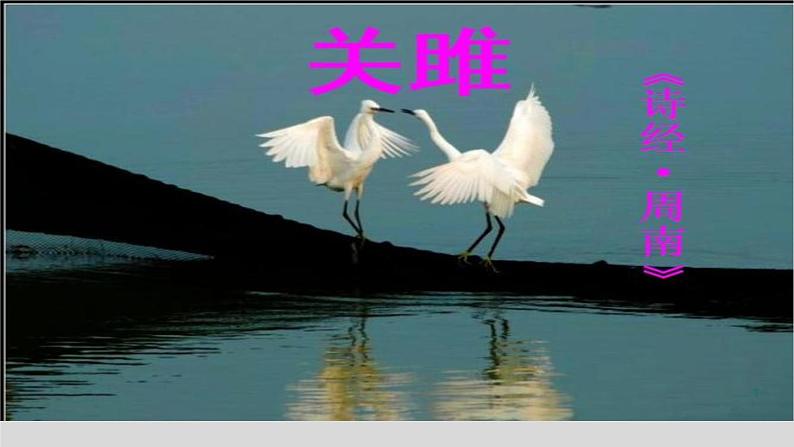 《关雎》-2022-2023学年八年级语文下册同步名师精品课件（部编五四制）（上海专用）01