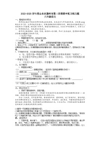 期中复习题   部编版语文八年级下册（无答案）