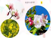 05  大自然的语言-八年级语文下册同步随堂精品课件