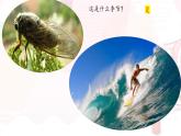 05  大自然的语言-八年级语文下册同步随堂精品课件