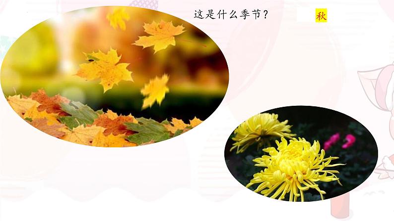 05  大自然的语言-八年级语文下册同步随堂精品课件第3页