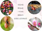 05  大自然的语言-八年级语文下册同步随堂精品课件
