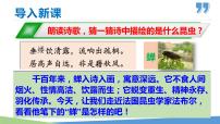 初中语文人教部编版八年级上册蝉图片课件ppt